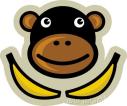monkey