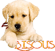 chien bisous !!!